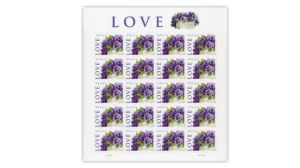 1-2010-Purple-Orchid-in-Snow-Stamps-5Sheets-100Stamps 2010 Purple Orchid in Snow Forever Stamps – 5 Sheets / 100 Stamps