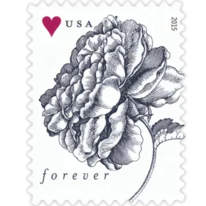 1-2015-vintage-rose-Stamps-5Sheets-100Stamps 2015 Vintage Rose Forever Stamps – 5 Sheets / 100 Stamps