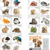 2016 Pets Celebrate Animals Forever Stamps – 5 Booklets / 100 Stamps