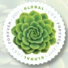 2017 Green Succulent Global Forever Stamps – 5 Booklets / 50 Stamps
