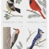 1-2018-Birds-in-Winter-Stamps-5Booklets-100Stamps 2018 Birds in Winter Stamps – 5 Booklets / 100 Stamps