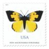 1-2019-California-Dogface-Butterfly-Stamps-5Sheets-100Stamps 2019 California Dogface Butterfly Stamps – 5 Sheets / 100 Stamps