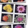1-2019-cactus-flowers-Stamps-5Booklets-100Stamps-1 2019 Cactus Flowers Forever Stamps – 5 Booklets / 100 Stamps