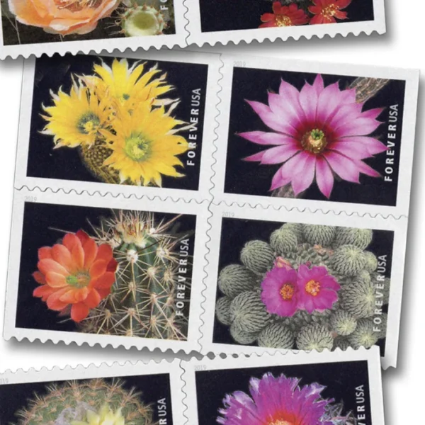 1-2019-cactus-flowers-Stamps-5Booklets-100Stamps-1 2019 Cactus Flowers Forever Stamps – 5 Booklets / 100 Stamps