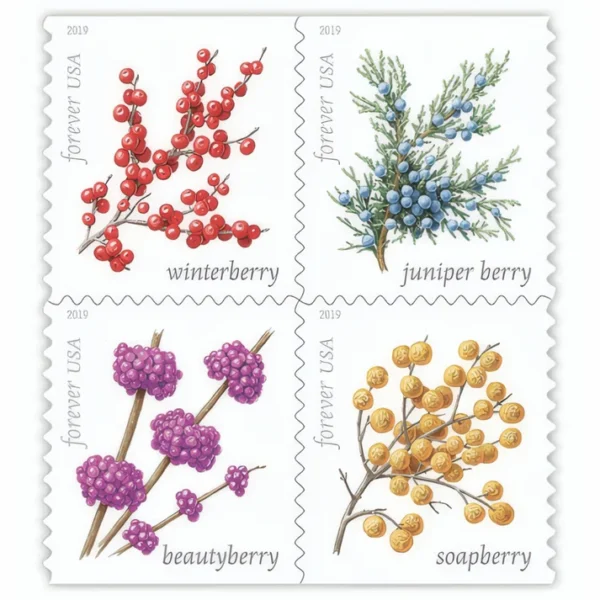 1-2019-winter-berries-forever-stamps-5-sheets-100-stamps 2019 Winter Berries Forever Stamps – 5 Sheets / 100 Stamps