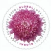 1-2020-chrysanthemum-Stamps-5Booklets-50Stamps 2020 Chrysanthemum Global Forever Stamps – 5 Booklets / 50 Stamps