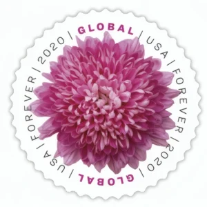 1-2020-chrysanthemum-Stamps-5Booklets-50Stamps 2020 Chrysanthemum Global Forever Stamps – 5 Booklets / 50 Stamps