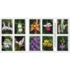 2020 Wild Orchids Forever Stamps – 5 Booklets / 100 Stamps