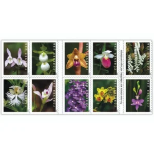 1-2020-wild-orchids-Stamps-5Booklets-100Stamps-1 2020 Wild Orchids Forever Stamps – 5 Booklets / 100 Stamps