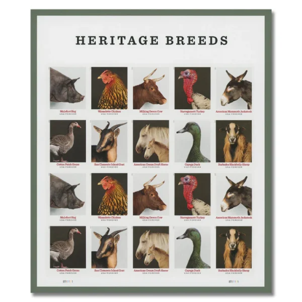 1-2021-Heritage-Breeds-Forever-Stamps-5Sheets-100Stamps 2021 Heritage Breeds Forever Stamps – 5 Sheets / 100 Stamps