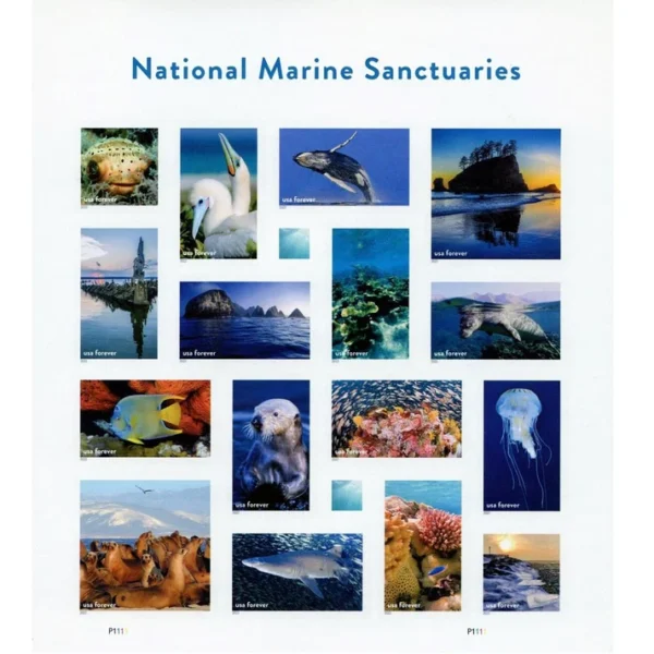 2022 National Marine Sanctuaries Forever Stamps – 5 Sheets / 80 Stamps