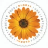 1-2022-african-daisy-Stamps-5Booklets-50Stamps 2022 African Daisy Global Forever Stamps – 5 Booklets / 50 Stamps