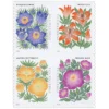 1-2022-mountain-flora-Stamps-5Booklets-100Stamps-1 2022 Mountain Flora Forever Stamps – 5 Booklets / 100 Stamps
