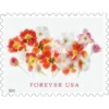 1-2022-tulips-Stamps-5Sheets-100Stamps-1 2022 Tulips Forever Stamps – 5 Sheets / 100 Stamps