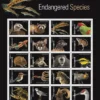 1-2023-Endangered-Species-Stamps-5Sheets-100Stamps 2023 Endangered Species Stamps – 5 Sheets / 100 Stamps