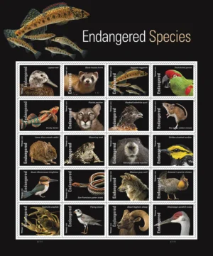 1-2023-Endangered-Species-Stamps-5Sheets-100Stamps 2023 Endangered Species Stamps – 5 Sheets / 100 Stamps