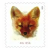 1-2023-Red-Fox-Stamps-5Sheets-100Stamps 2023 Red Fox Stamps – 5 Sheets / 100 Stamps