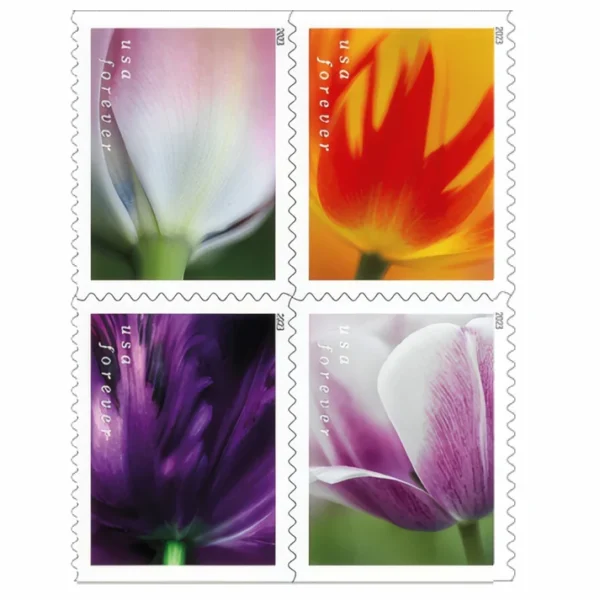 1-2023-tulip-blossoms-Stamps-5Booklets-100Stamps-1 2023 Tulip Blossoms Forever Stamps – 5 Booklets / 100 Stamps
