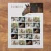 1-2024-Horses-Forever-Stamps-5Sheets-100Stamps 2024 Horses Forever Stamps – 5 Sheets / 100 Stamps