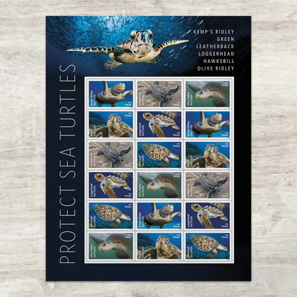 2024 Protect Sea Turtles Forever Stamps – 5 Sheets / 90 Stamps