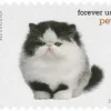2016 Pets Celebrate Animals Forever Stamps – 5 Booklets / 100 Stamps