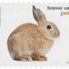 2016 Pets Celebrate Animals Forever Stamps – 5 Booklets / 100 Stamps