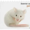 2016 Pets Celebrate Animals Forever Stamps – 5 Booklets / 100 Stamps
