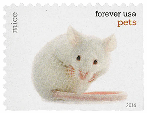 2016 Pets Celebrate Animals Forever Stamps – 5 Booklets / 100 Stamps