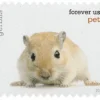 2016 Pets Celebrate Animals Forever Stamps – 5 Booklets / 100 Stamps