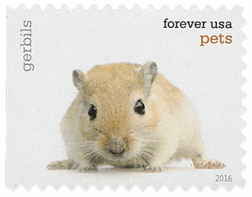 2016 Pets Celebrate Animals Forever Stamps – 5 Booklets / 100 Stamps