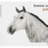 2016 Pets Celebrate Animals Forever Stamps – 5 Booklets / 100 Stamps