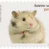2016 Pets Celebrate Animals Forever Stamps – 5 Booklets / 100 Stamps