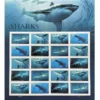 2-2017-Sharks-Stamps-5Sheets-100Stamps 2017 Sharks Stamps – 5 Sheets / 100 Stamps