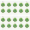2017 Green Succulent Global Forever Stamps – 5 Booklets / 50 Stamps