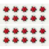 2-2018-poinsettia-Stamps-5Booklets-50Stamps 2018 Poinsettia Global Forever Stamps – 5 Booklets / 50 Stamps