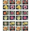 2-2019-cactus-flowers-Stamps-5Booklets-100Stamps-1 2019 Cactus Flowers Forever Stamps – 5 Booklets / 100 Stamps