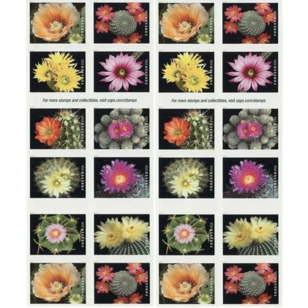2-2019-cactus-flowers-Stamps-5Booklets-100Stamps-1 2019 Cactus Flowers Forever Stamps – 5 Booklets / 100 Stamps