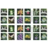 2020 Wild Orchids Forever Stamps – 5 Booklets / 100 Stamps