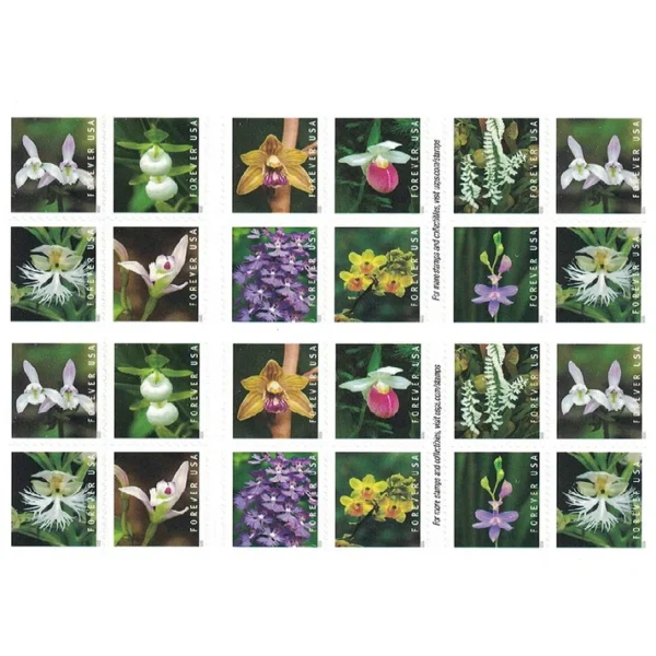 2020 Wild Orchids Forever Stamps – 5 Booklets / 100 Stamps