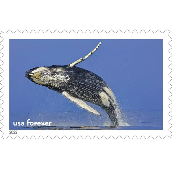 2022 National Marine Sanctuaries Forever Stamps – 5 Sheets / 80 Stamps