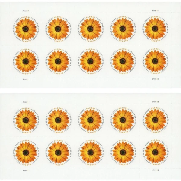 2-2022-african-daisy-Stamps-5Booklets-50Stamps 2022 African Daisy Global Forever Stamps – 5 Booklets / 50 Stamps
