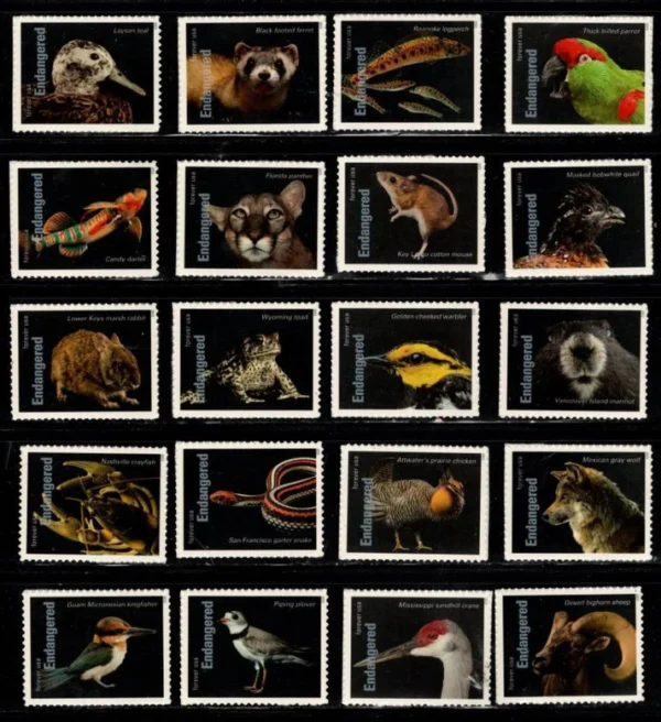 2-2023-Endangered-Species-Stamps-5Sheets-100Stamps 2023 Endangered Species Stamps – 5 Sheets / 100 Stamps