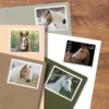 2-2024-Horses-Forever-Stamps-5Sheets-100Stamps 2024 Horses Forever Stamps – 5 Sheets / 100 Stamps