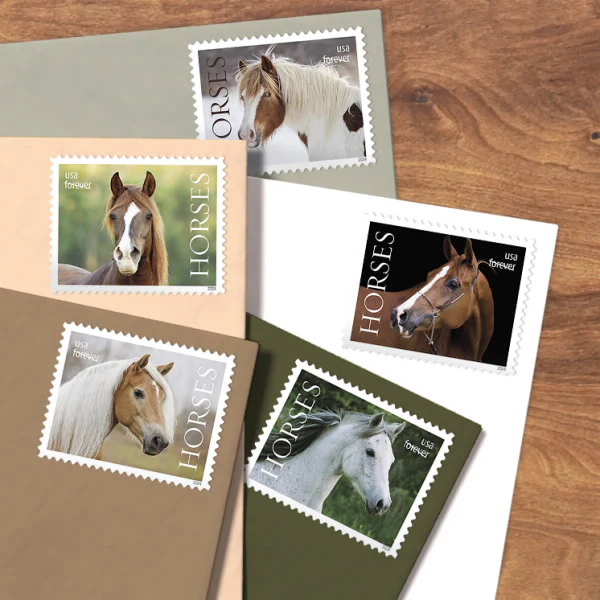 2-2024-Horses-Forever-Stamps-5Sheets-100Stamps 2024 Horses Forever Stamps – 5 Sheets / 100 Stamps