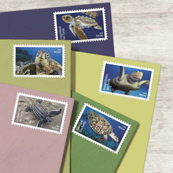 2024 Protect Sea Turtles Forever Stamps – 5 Sheets / 90 Stamps