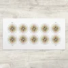 2025 Compass Rose Global Forever Stamps – 5 Sheets / 50 Stamps