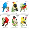 3-2014-Songbird-Forever-Stamps-5Booklets-100Stamps 2014 Songbird Forever Stamps – 5 Booklets / 100 Stamps