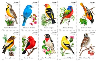 3-2014-Songbird-Forever-Stamps-5Booklets-100Stamps 2014 Songbird Forever Stamps – 5 Booklets / 100 Stamps