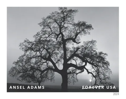 3-2024-ansel-adams-Stamps-5Sheets-100Stamps 2024 Ansel Adams Forever Stamps – 5 Sheets / 100 Stamps