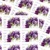 4-2010-Purple-Orchid-in-Snow-Stamps-5Sheets-100Stamps 2010 Purple Orchid in Snow Forever Stamps – 5 Sheets / 100 Stamps
